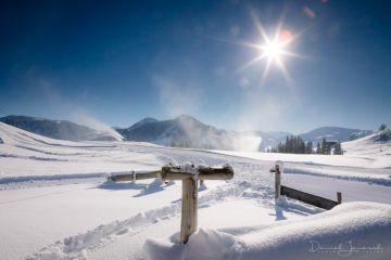 Hochzeitsreportage von Daniel Janesch Photography