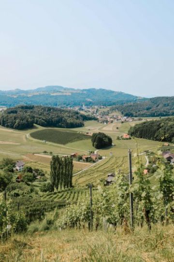 Hochzeitsreportage in Steiermark: Harkamp