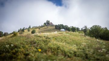 Hochzeit am Magdalensberg: Sabrina und Markus sagen 