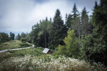 Hochzeit am Magdalensberg: Sabrina und Markus sagen 