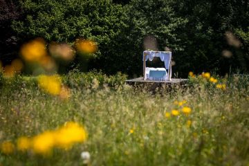 Beim Marstadl wird wieder geheiratat!