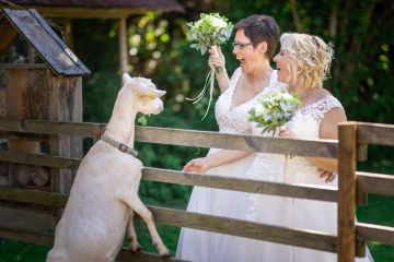Mädls-Hochzeit im Schlossgut Gundersdorf