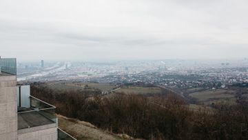 Hochzeitsreportage in Wien: Kahlenberg