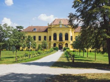 Hochzeitsreportage in Niederösterreich: Schloss Eckartsau
