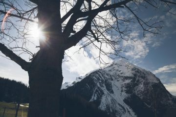 Heiraten in der Steiermark