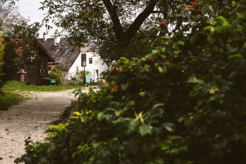 Hochzeit am schönsten Platz im Wienerwald - das versteckte Idyll Mirli