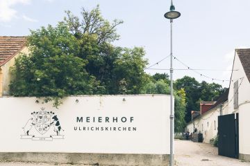Sommerliebe & Südsee-Vibes – Hochzeit von Arthur & Florian im Meierhof Ulrichskirchen