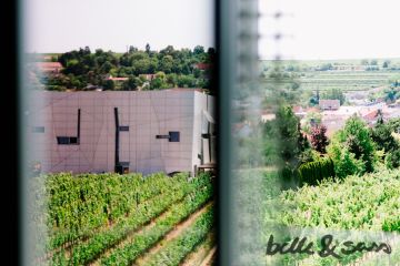 Hochzeitsreportage von belle & sass