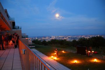Hochzeitsreportage in Wien: Kahlenberg