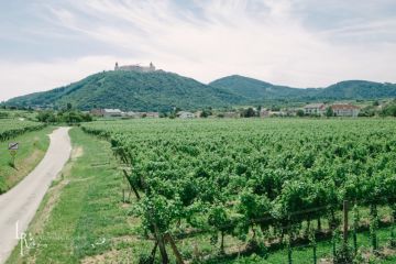 Hochzeitsreportage in Niederösterreich: Schloss Walpersdorf