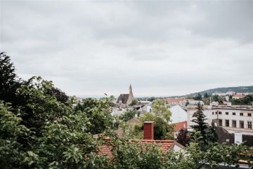Hochzeitsreportage in Niederösterreich: Bruno