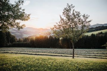 Hochzeitsreportage in Niederösterreich: Das Schloss an der Eisenstrasse
