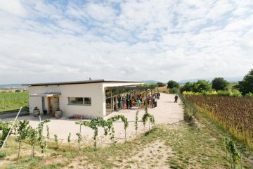 Hochzeitsreportage in Niederösterreich: Weingut Holzer Leobendorf