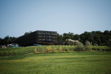 Hochzeitsreportage in Steiermark: Weingut Holler