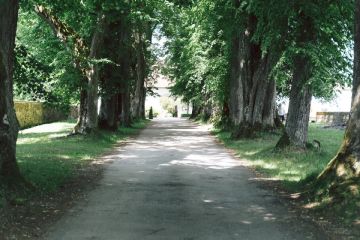 außergewöhnliche Schlosshochzeit auf Schloss Altenhof  in Oberösterreich