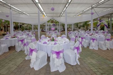 Eleganz und Spektakel: Eine filmreife Traumhochzeit in der Arche Moorhof in Großhöflein