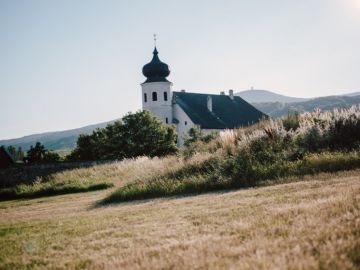 Hochzeitsreportage in Niederösterreich: Freigut Thallern