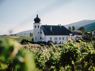 Hochzeitsreportage in Niederösterreich: Freigut Thallern