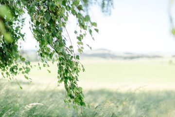 Hochzeitsreportage in Oberösterreich: Der Vedahof
