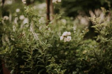 Hochzeitsreportage in Oberösterreich: Der Oberhauser in Kranzing