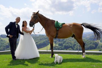 Romantische Hochzeit mit Hund und Pferd mit Blick auf die schönen Weinberge der Steiermark