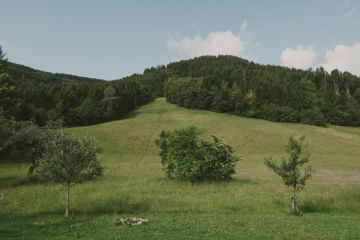 Hochzeitsreportage in Kärnten: Kleinsasserhof