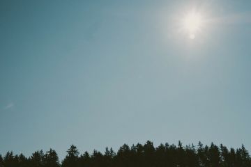 Hochzeitsreportage in Niederösterreich: Weingut Holzapfel