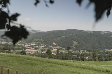 Hochzeitsreportage in Niederösterreich: Fernblick