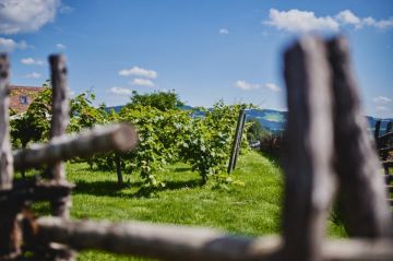 Hochzeitsreportage in Steiermark: Bratlalm Wenigzell