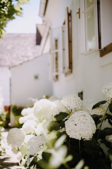 Hochzeitsreportage in Burgenland: Gut Purbach