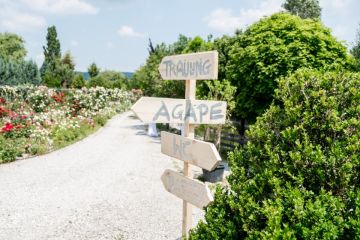 Hochzeitsreportage in Burgenland: Arche Moorhof/ Irene Clayton Eventmanagement