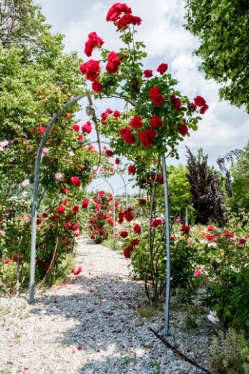 Hochzeitsreportage in Burgenland: Arche Moorhof/ Irene Clayton Eventmanagement