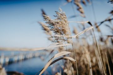 Hochzeitsreportage von Memories & Emotions Photography