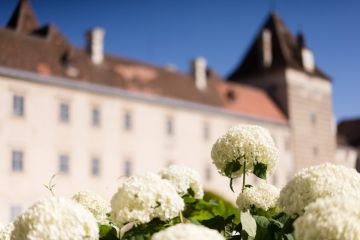 Hochzeitsreportage in Niederösterreich: Schloss Walpersdorf