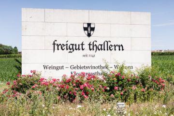 Hochzeitsreportage in Niederösterreich: Freigut Thallern
