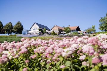 Hochzeitsfeier im Garten der Geheimnisse