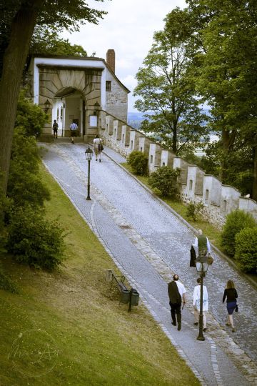 Trachten-Hochzeit - Bräutigam & Bräutigam hab sich das Ja-Wort im Waldviertel.