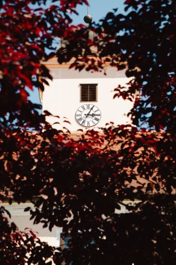 Standesamtliche Sommerhochzeit im Schloss und Schlossgarten