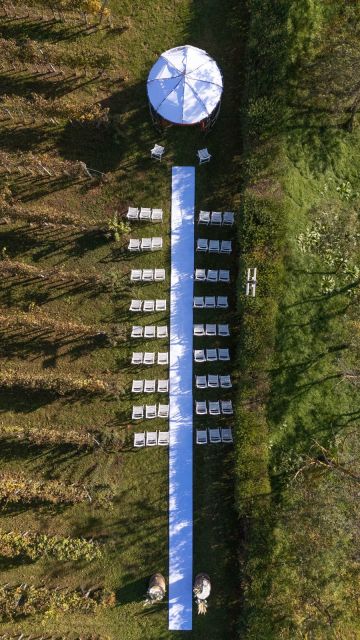 Heiraten am Weingut