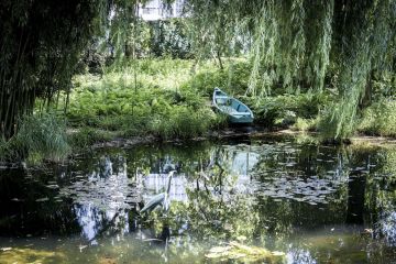 Romantische Outdoor-Hochzeit in einer Oase Wiens