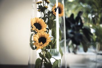 Stilvolle Herbsthochzeit in Mödling