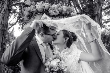 Zeitlose Verbindung im Heilbronner Sommerwald