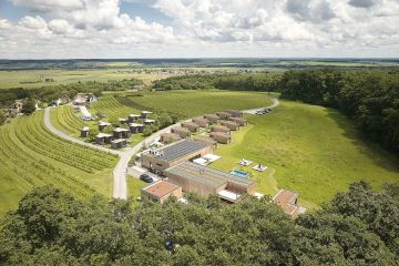 Hochzeit in den Weinbergen - Wohnothek am Ratschen