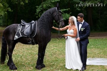 Klassische Hochzeit in Schloss Laxenburg