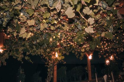 Professionelle String Lite Lichterketten mieten