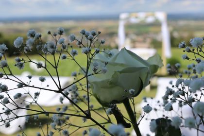 Alles was das Herz begehrt