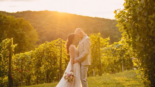 Hochzeit von Julia & Gregor im Weinschloss Thaller Hochzeit von Julia & Gregor im Weinschloss Thaller