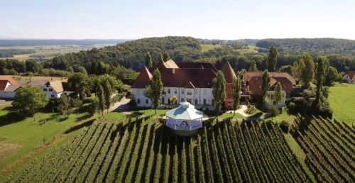 Emotionen rund ums Hochzeitsjahr im Weinschloss Thaller