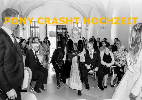 Von Ponys bis Party: Ein Hochzeit im Lenausaal in Stockerau, die zum Wiehern schön war!