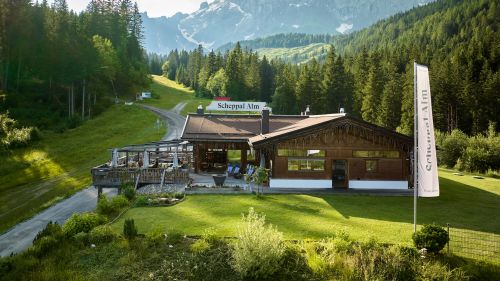 Image Video Wedding Scheppal Alm 24